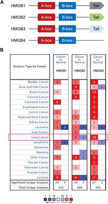 Systematic analysis of expression profiles of HMGB family members for prognostic application in non-small cell lung cancer